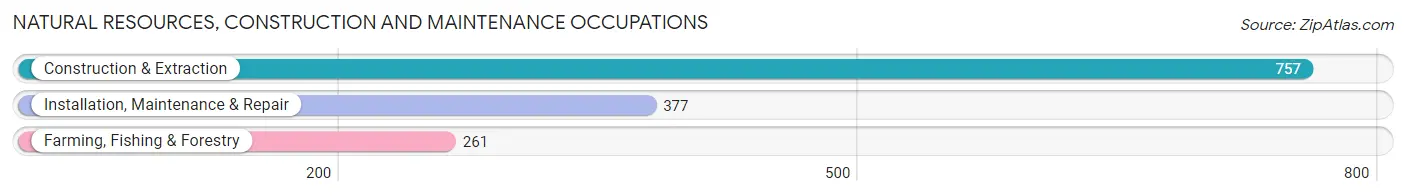 Natural Resources, Construction and Maintenance Occupations in Zip Code 49221