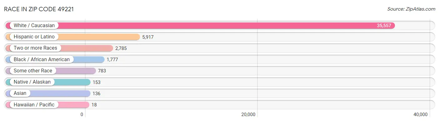 Race in Zip Code 49221