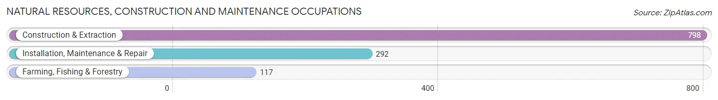 Natural Resources, Construction and Maintenance Occupations in Zip Code 49504