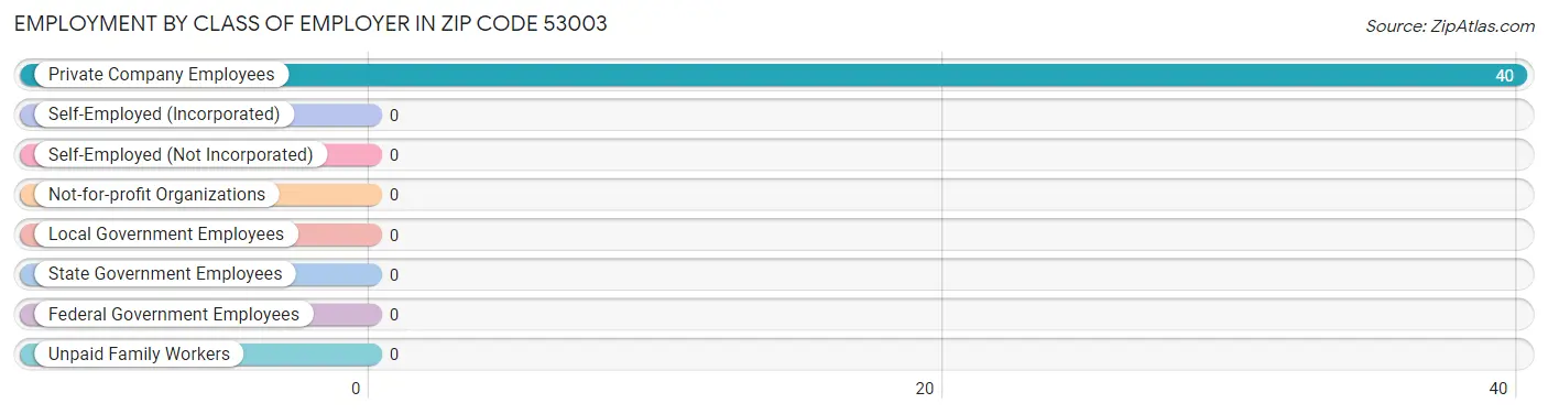 Employment by Class of Employer in Zip Code 53003