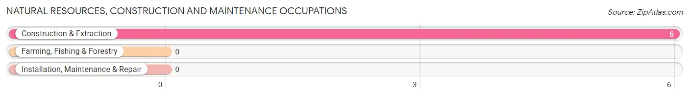 Natural Resources, Construction and Maintenance Occupations in Zip Code 53003