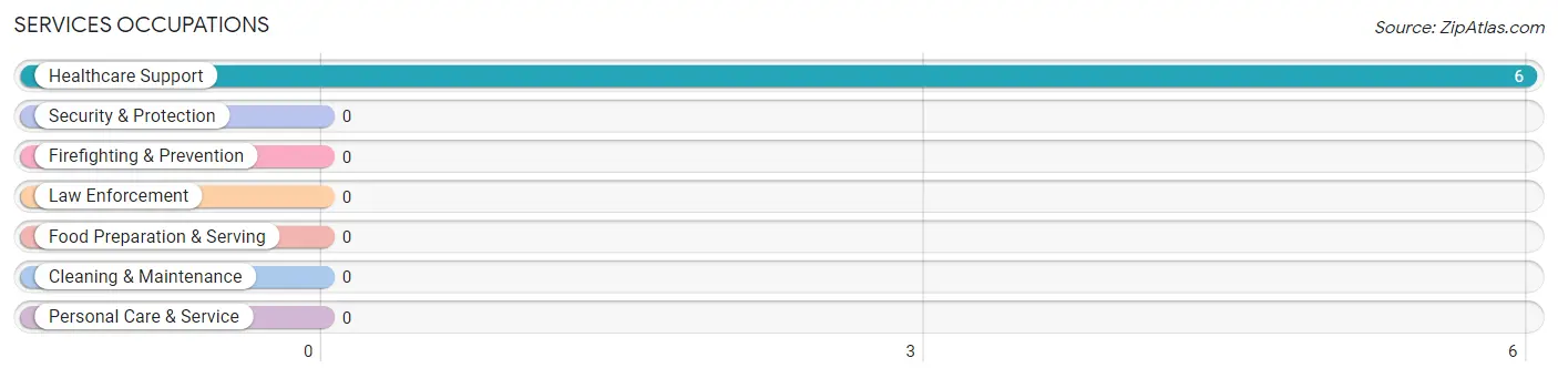 Services Occupations in Zip Code 53003