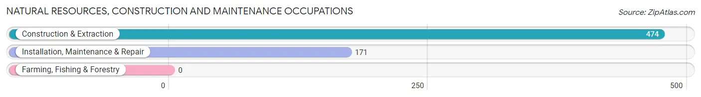 Natural Resources, Construction and Maintenance Occupations in Zip Code 53089