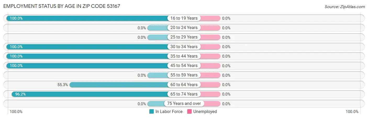 Employment Status by Age in Zip Code 53167