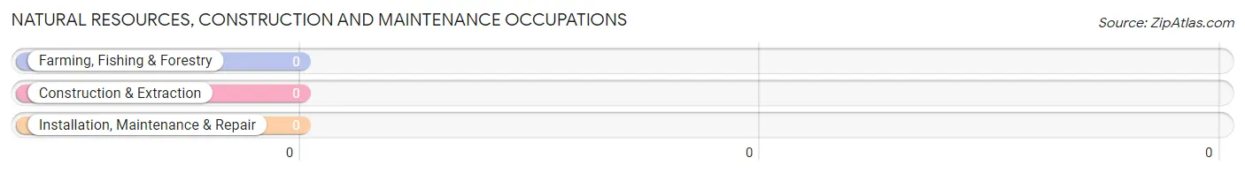 Natural Resources, Construction and Maintenance Occupations in Zip Code 53167