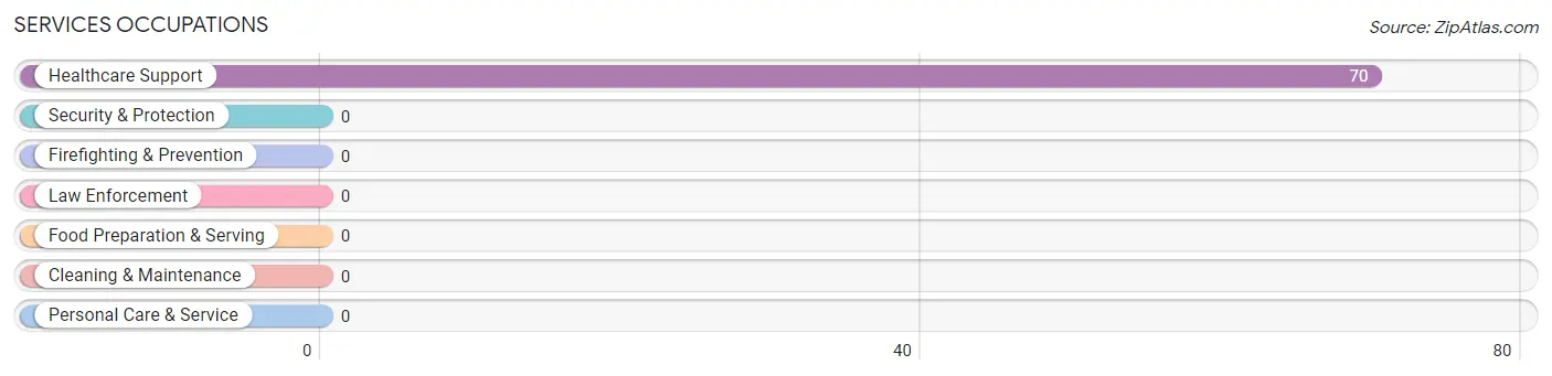 Services Occupations in Zip Code 53167