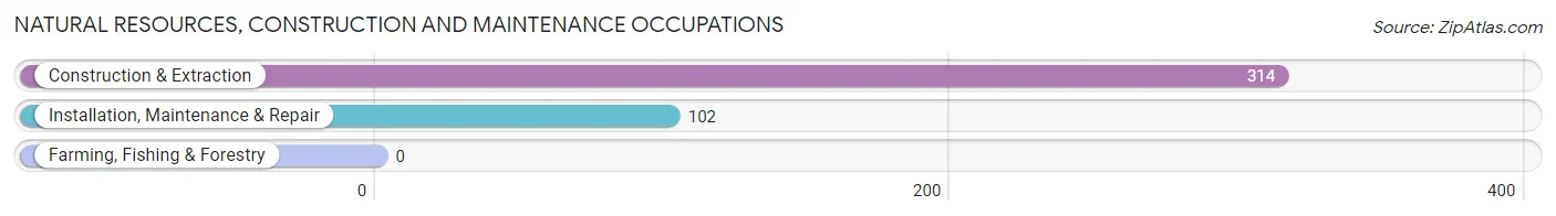 Natural Resources, Construction and Maintenance Occupations in Zip Code 53527