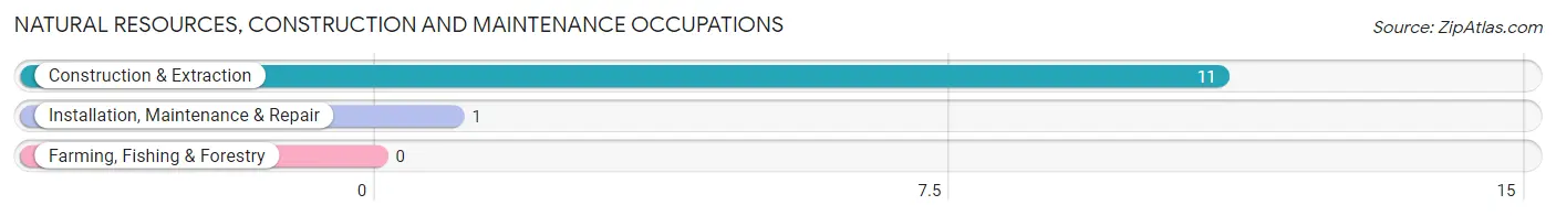 Natural Resources, Construction and Maintenance Occupations in Zip Code 53947