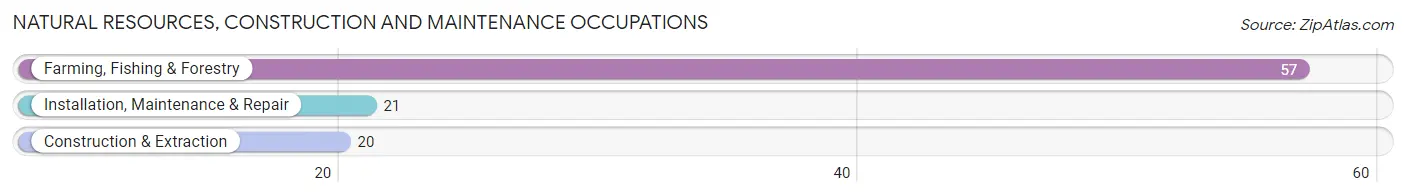 Natural Resources, Construction and Maintenance Occupations in Zip Code 54422