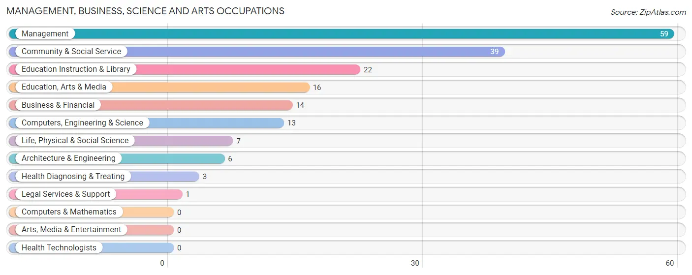 Management, Business, Science and Arts Occupations in Zip Code 54519