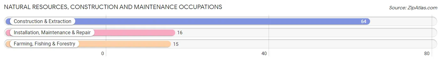 Natural Resources, Construction and Maintenance Occupations in Zip Code 54519