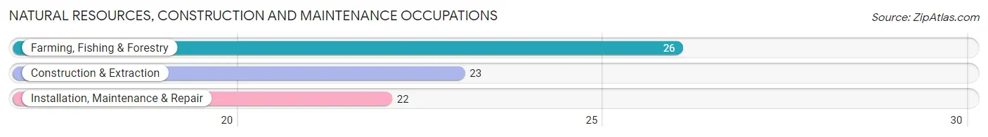 Natural Resources, Construction and Maintenance Occupations in Zip Code 54628