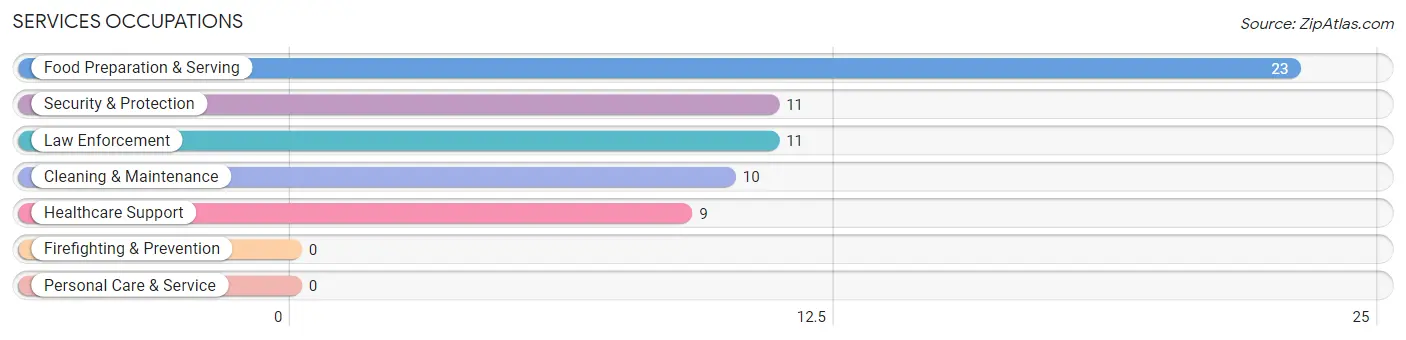 Services Occupations in Zip Code 54628