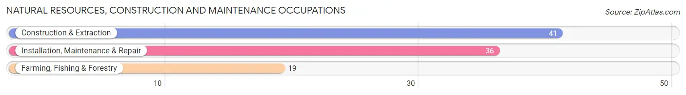 Natural Resources, Construction and Maintenance Occupations in Zip Code 54870