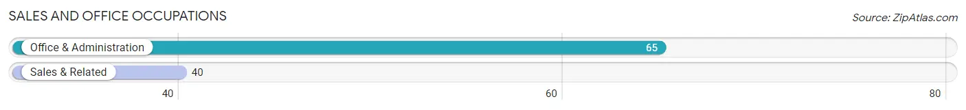 Sales and Office Occupations in Zip Code 55732