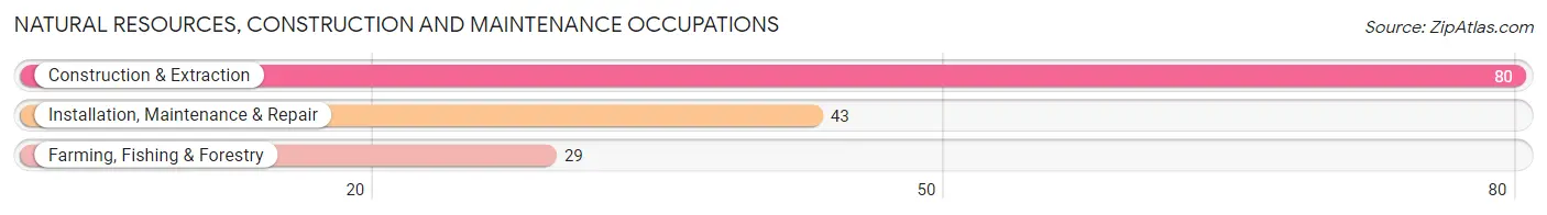 Natural Resources, Construction and Maintenance Occupations in Zip Code 55952