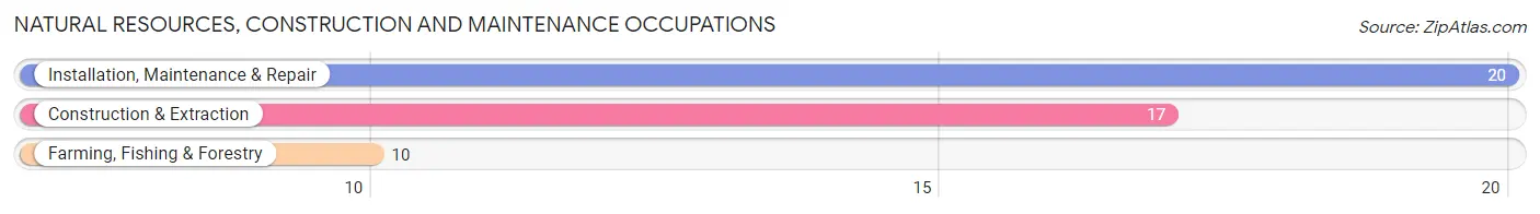 Natural Resources, Construction and Maintenance Occupations in Zip Code 56218