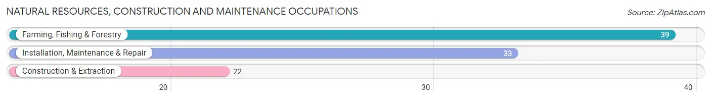 Natural Resources, Construction and Maintenance Occupations in Zip Code 56252