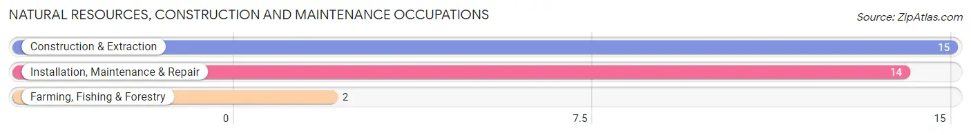 Natural Resources, Construction and Maintenance Occupations in Zip Code 56257