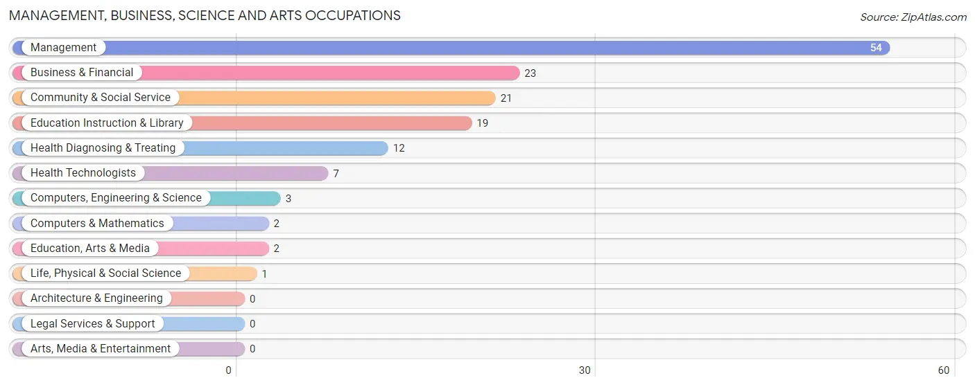 Management, Business, Science and Arts Occupations in Zip Code 56263