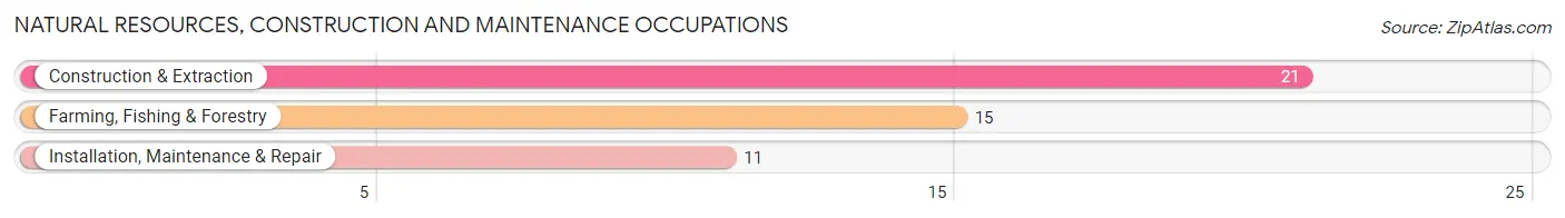 Natural Resources, Construction and Maintenance Occupations in Zip Code 56263