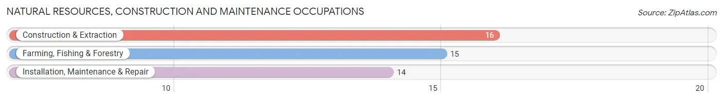 Natural Resources, Construction and Maintenance Occupations in Zip Code 56523