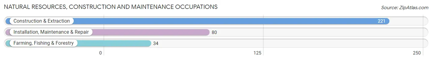 Natural Resources, Construction and Maintenance Occupations in Zip Code 56572