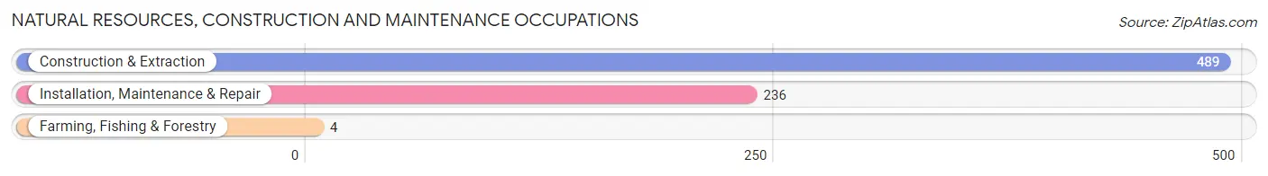 Natural Resources, Construction and Maintenance Occupations in Zip Code 57107