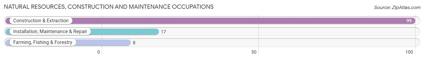 Natural Resources, Construction and Maintenance Occupations in Zip Code 57311