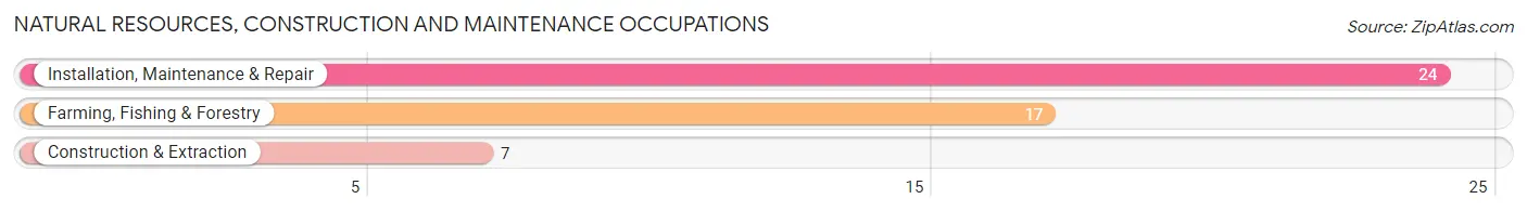 Natural Resources, Construction and Maintenance Occupations in Zip Code 57476