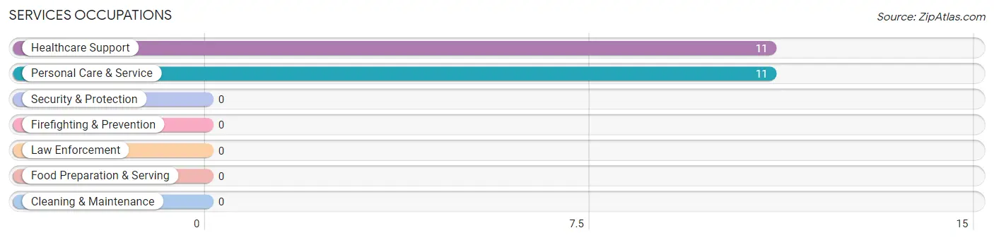 Services Occupations in Zip Code 57541