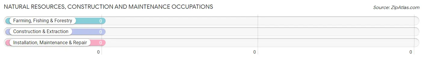 Natural Resources, Construction and Maintenance Occupations in Zip Code 58569