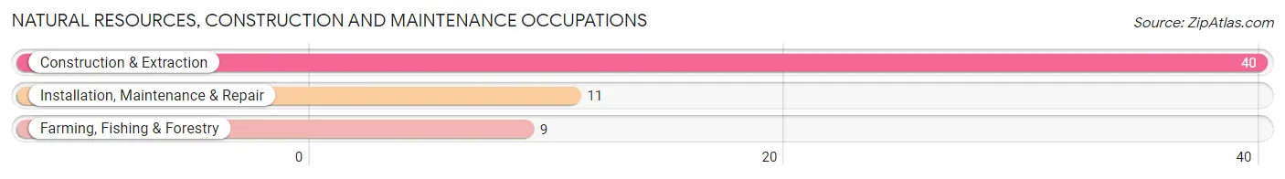 Natural Resources, Construction and Maintenance Occupations in Zip Code 59069