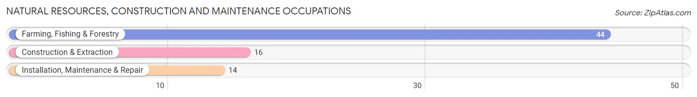 Natural Resources, Construction and Maintenance Occupations in Zip Code 59522