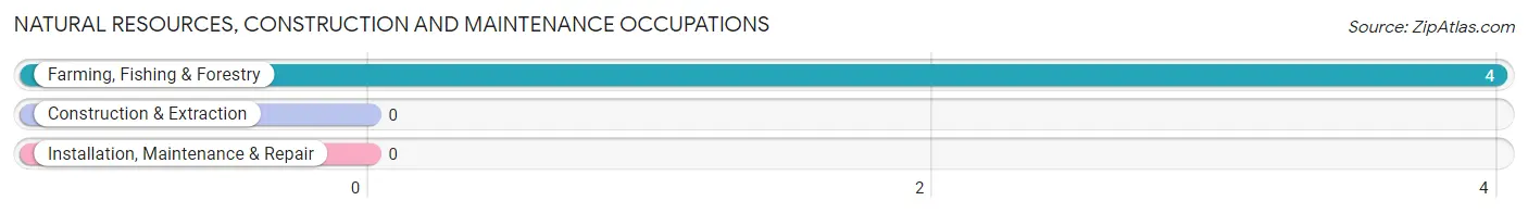 Natural Resources, Construction and Maintenance Occupations in Zip Code 59640