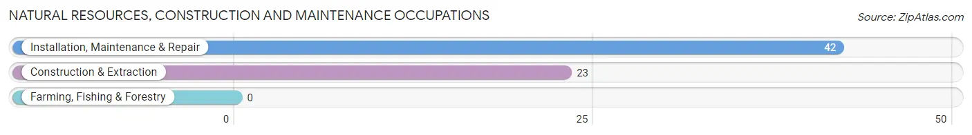 Natural Resources, Construction and Maintenance Occupations in Zip Code 61257