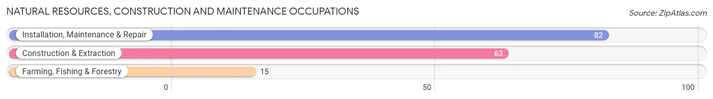 Natural Resources, Construction and Maintenance Occupations in Zip Code 63056