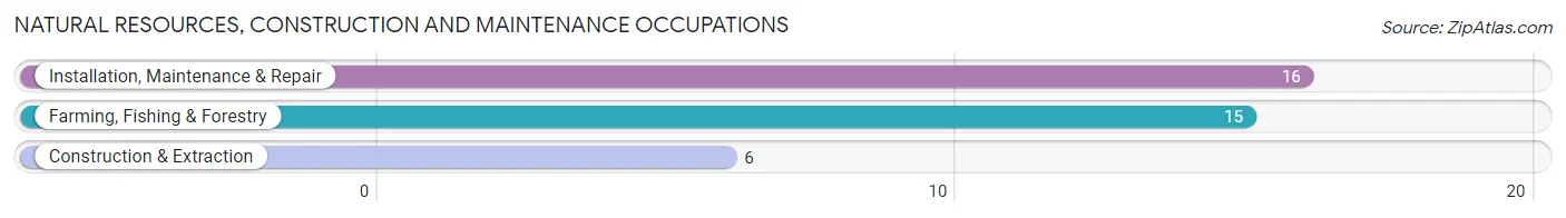 Natural Resources, Construction and Maintenance Occupations in Zip Code 65250