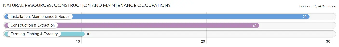 Natural Resources, Construction and Maintenance Occupations in Zip Code 65322