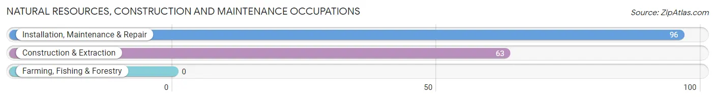 Natural Resources, Construction and Maintenance Occupations in Zip Code 65681