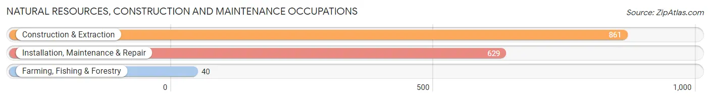 Natural Resources, Construction and Maintenance Occupations in Zip Code 67203