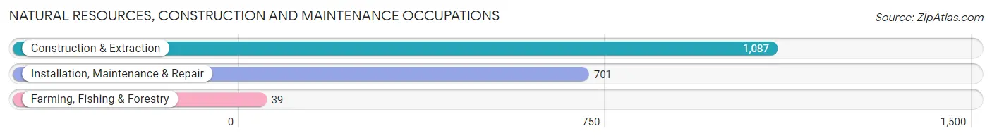 Natural Resources, Construction and Maintenance Occupations in Zip Code 70068