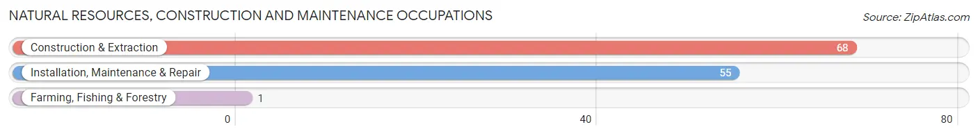 Natural Resources, Construction and Maintenance Occupations in Zip Code 70426