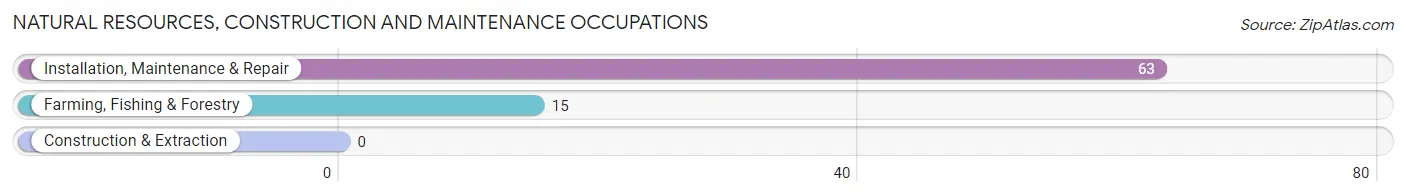 Natural Resources, Construction and Maintenance Occupations in Zip Code 70743