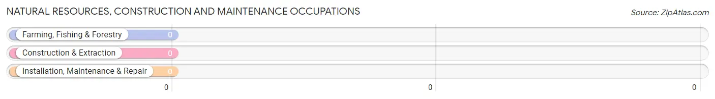 Natural Resources, Construction and Maintenance Occupations in Zip Code 74046