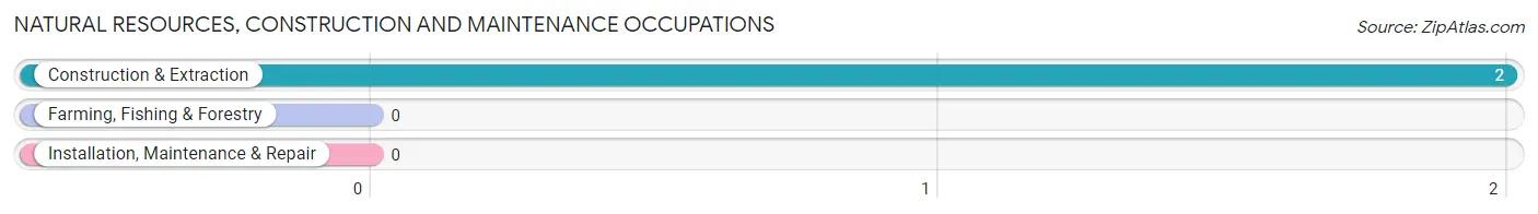 Natural Resources, Construction and Maintenance Occupations in Zip Code 74456