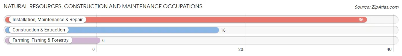 Natural Resources, Construction and Maintenance Occupations in Zip Code 74956