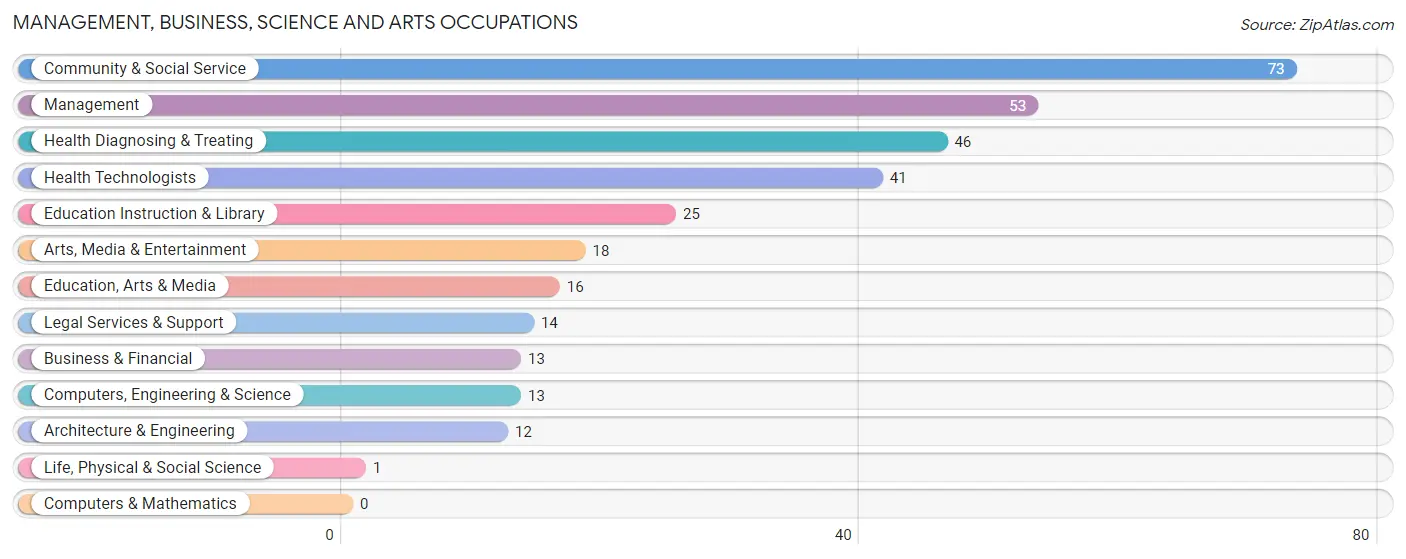 Management, Business, Science and Arts Occupations in Zip Code 75563