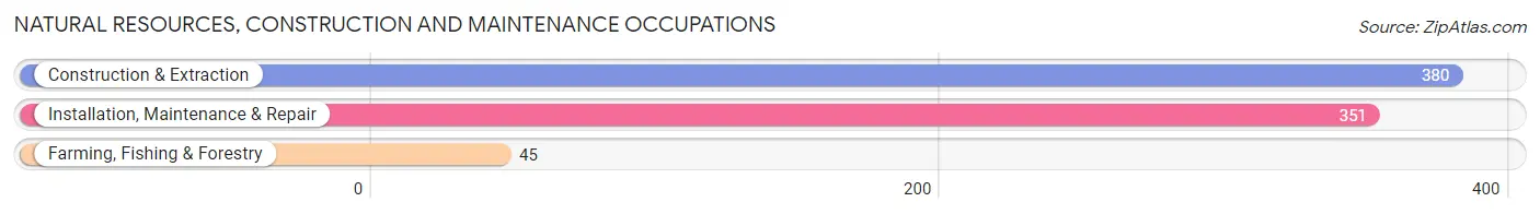 Natural Resources, Construction and Maintenance Occupations in Zip Code 75654