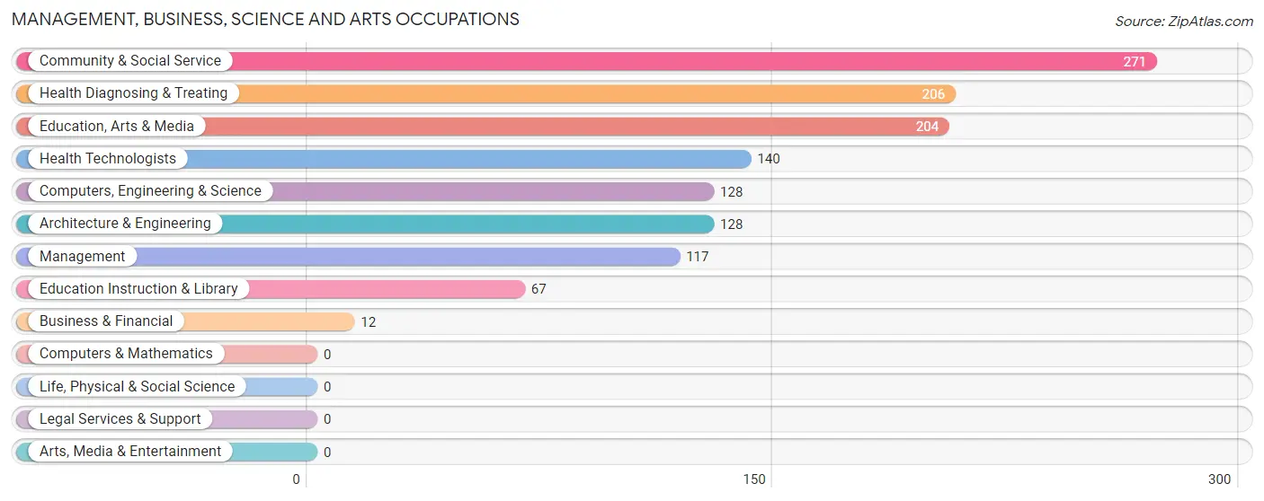 Management, Business, Science and Arts Occupations in Zip Code 75969